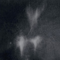 Let It Rain on the Fire