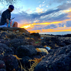 Talk That Shit (wale)