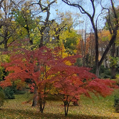 30/1/2025. Optimismo cristiano