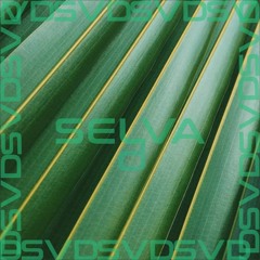 Cantando Selva (tropical live mix)