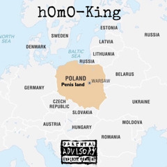 hOmO-King - Polandᴱ (penis land)