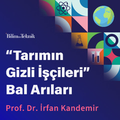 “Tarımın Gizli İşçileri” Bal Arılarının Tarımsal Üretime Önemli Katkısı: Tozlaştırma