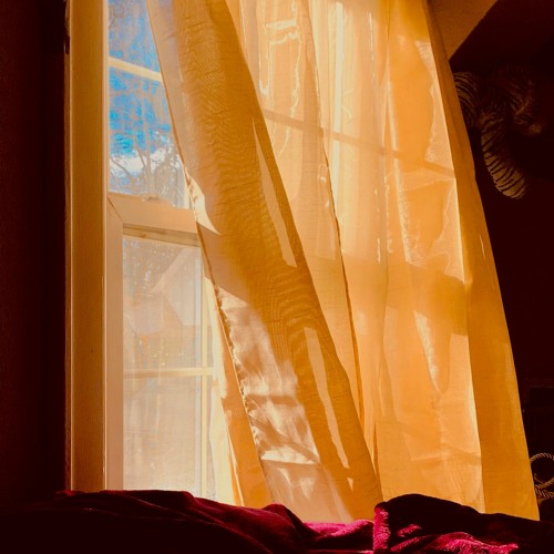 nadaría hasta tu casa