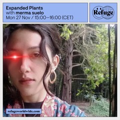 Expanded Plants - 1. Artemisia - Refuge Radio