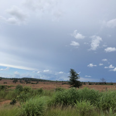 Gratitude - Brandon Lake