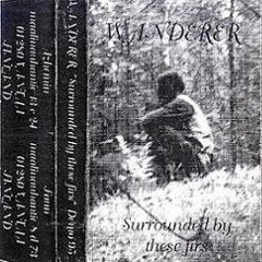 Wanderer - Surrounded By These Firs