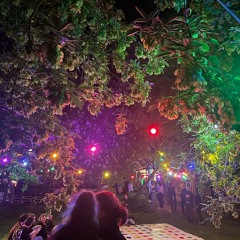 Hausfest 2024 - VL Halle (Saale)