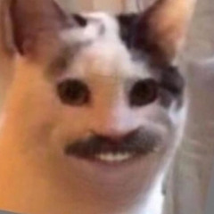 200 Dollars