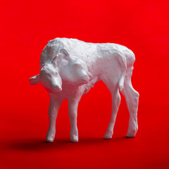 Not Your Type (feat. Omon Breaker)