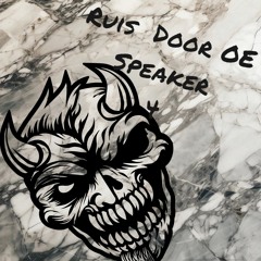 Ruis Door Oe Speaker 4