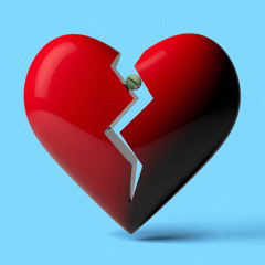 Shoose N Cooser - Emotions