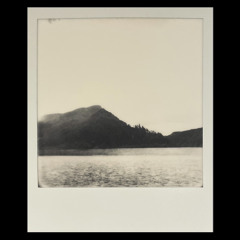 still butterfly (2021)