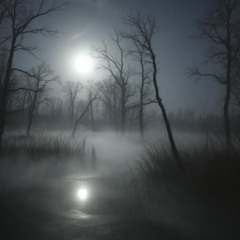 Mysterious Fog