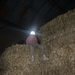 rollers++jungle v2 (chrome)