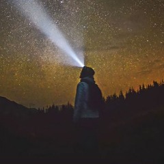 Sparkling in the Night