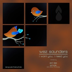 I Want You, I Need You (Original Mix)