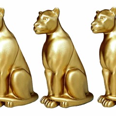 PANTERAS DE ORO ESP 2022