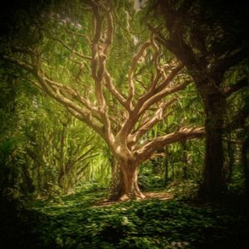 Stream Ammon The Wind - Light Rays (Tree Dream Forest) by Gudasol ...