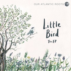 Little Bird