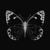 Artwork for Billy Gillies qne Nadia Ali - Rapture Disturbance (Lucas Deyong Mashup) [TIKTOK]