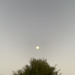 26XD Ft.VY - MISS HOME(กลับบ้านเรา) prod.sogimura