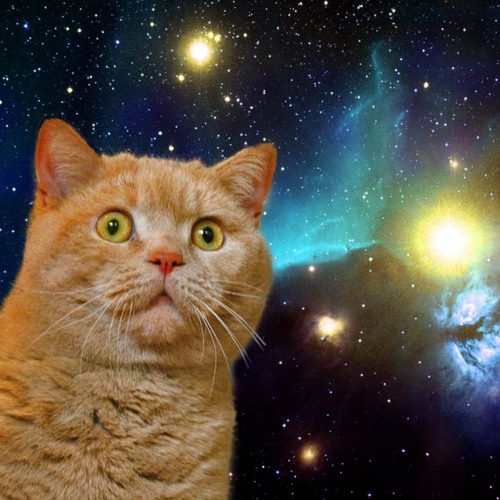 Space Cat 4th of July Mix