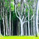 on Gespensterwald (Ghostly Forest)