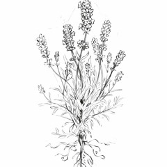 nobody is upset with you