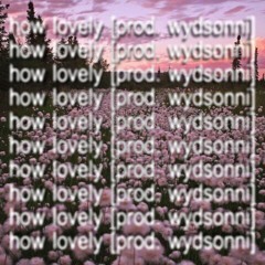 how lovely [prod. wydsonni]