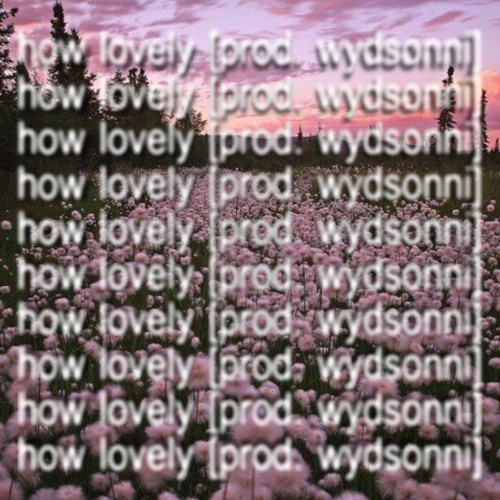 how lovely [prod. wydsonni]