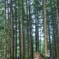 poggers brother 🌱 (live from apog '23)