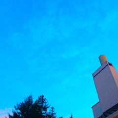 The Box of Trapezoids