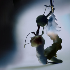 KNOW YOUR LOCAL w/ Katu & Vendredear (27/05/25)