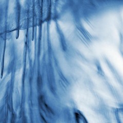 Motion Symmetry with remixes from Laima Adelaide & Elektrabel
