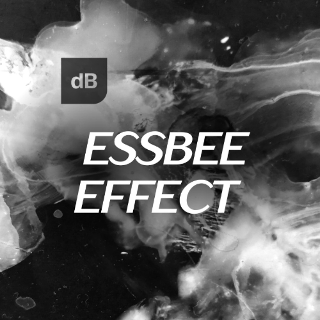 Stream Essbee Effect | DJ Essbee | Decibel Entertainment | by djessbee ...