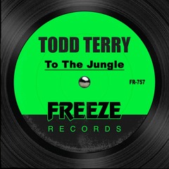 Todd Terry - To The Jungle
