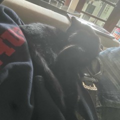 Doesn’t work prod me