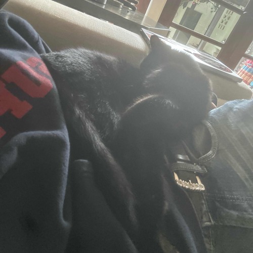 Doesn’t work prod me