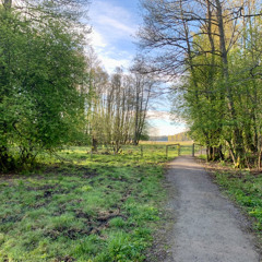 Dawn Chorus; A Soundscape at Sandemar Canal  in Sweden