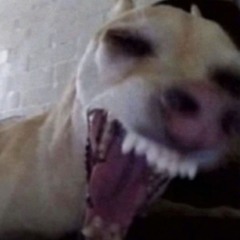 smd (p. tenshi x 333synx)