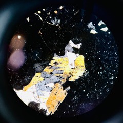 FOCUS LEVEL