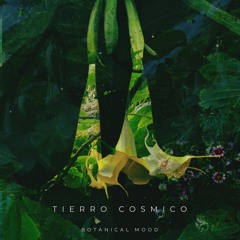 Tierro Cosmico - Botanical Mood [AR022] preview
