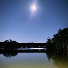 I STOPPED USING SOUNDCLOUD (@reesspeace Beat Samples 2025)