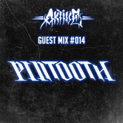 AKTIVE Guest Mix 014 w/ Pintooth