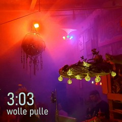wolle pulle @ 3:03 July 2023