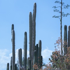 DubAtmospheric Techno Set #03 - SoySato