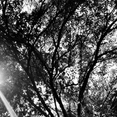 Dub Techno - Sat night chill