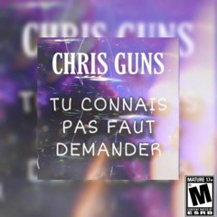 CHRIS_GUNS_(TU_CONNAIS_PAS_FAUT_DEMANDER).mp3