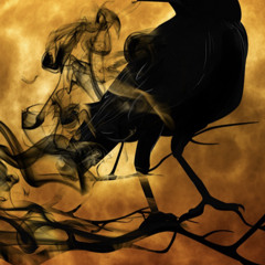 5. Where have all the Ravens Gone