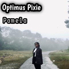 Optimus Pixie